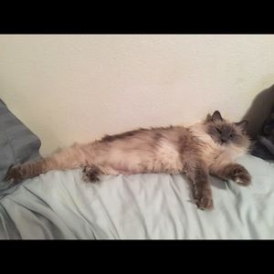 Meet your Posher, Shawna